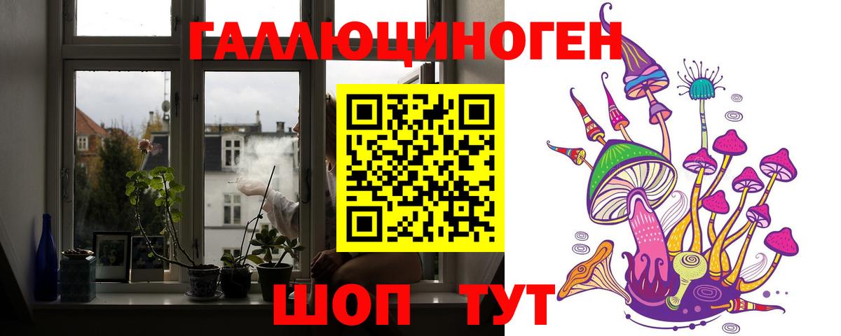 Галлюциногенные грибы GOLDEN TEACHER  цена наркотик  Вологда  Вход с VPN 